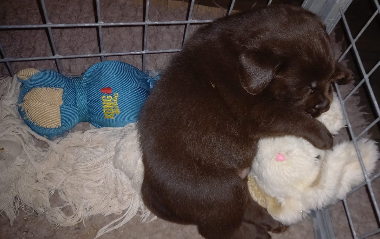 Storm – Een Nieuw Hartslagje in Ons Gezin